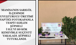 Manisa’da Ormanlık Alanda Kenevir Operasyonu!