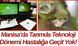 Manisa’da Tarımda Teknoloji Dönemi Hastalığa Geçit Yok!