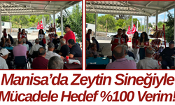 Manisa’da Zeytin Sineğiyle Mücadele: Hedef %100 Verim!