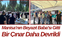 Manisa’nın Beyazıt Baba’sı Gitti Bir Çınar Daha Devrildi