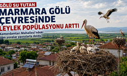 Marmara Gölü Canlandı, Leylekler Köye Döndü!