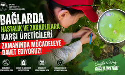 Salihli'de Bağ Üreticilerine Kritik Uyarı
