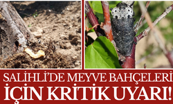 Salihli’de Meyve Bahçeleri İçin Kritik Uyarı!