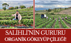 Salihli’nin Gururu Organik Gökeyüp Çileği!