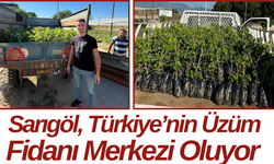 Sarıgöl, Türkiye’nin Üzüm Fidanı Merkezi Oluyor