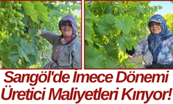 Sarıgöl'de İmece Dönemi Üretici Maliyetleri Kırıyor!