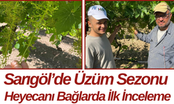 Sarıgöl’de Üzüm Sezonu Heyecanı Bağlarda İlk İnceleme