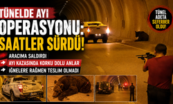 Tünelde Ayı Kazası Yaralı Ayı Ekipleri Peşinden Koşturdu