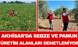 Akhisar'da Sebze ve Pamuk Üretim Alanları Denetleniyor