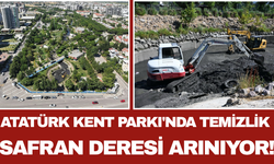 Atatürk Kent Parkı'nda Temizlik Safran Deresi Arınıyor!