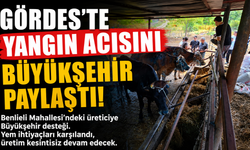 Gördes'te Yangın Acısını Büyükşehir Paylaştı!