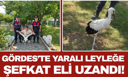 Gördes’te Yaralı Leyleğe Şefkat Eli Uzandı!