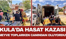 Kula'da Hasat Kazası: Meyve Toplarken Canından Oluyordu!