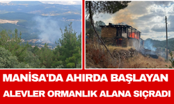 Manisa'da Ahırda Başlayan Alevler Ormanlık Alana Sıçradı
