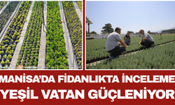 Manisa’da Fidanlıkta İnceleme: Yeşil Vatan Güçleniyor