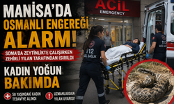 Manisa'da Osmanlı Engereği Alarmı: Kadın Yoğun Bakımda