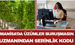 Manisa’da Üzümler Buruşmasın Uzmanından Serinlik Kodu