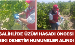 Salihli'de Üzüm Hasadı Öncesi Sıkı Denetim: Numuneler Alındı