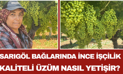 Sarıgöl Bağlarında İnce İşçilik Kaliteli Üzüm Nasıl Yetişir?