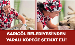 Sarıgöl Belediyesi’nden Yaralı Köpeğe Şefkat Eli!