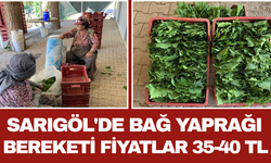 Sarıgöl'de Bağ Yaprağı Bereketi Fiyatlar 35-40 TL