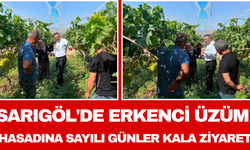 Sarıgöl'de Erkenci Üzüm Hasadına Sayılı Günler Kala Ziyaret