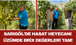 Sarıgöl'de Hasat Heyecanı Üzümde Brix Değerleri Tam!