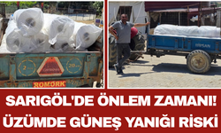 Sarıgöl'de Önlem Zamanı! Üzümde Güneş Yanığı Riski