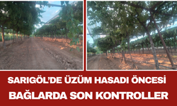 Sarıgöl’de Üzüm Hasadı Öncesi: Bağlarda Son Kontroller