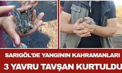 Sarıgöl'de Yangının Kahramanları: 3 Yavru Tavşan Kurtuldu