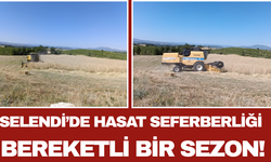 Selendi’de Hasat Seferberliği Bereketli Bir Sezon!