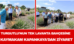 Turgutlu'nun Tek Lavanta Bahçesine Kaymakam Kapankaya'dan Ziyaret