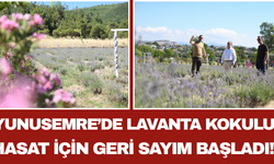 Yunusemre’de Lavanta Kokulu Hasat İçin Geri Sayım Başladı!