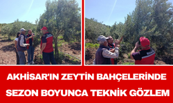 Akhisar'ın Zeytin Bahçelerinde Sezon Boyunca Teknik Gözlem