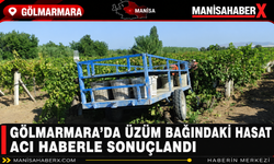 Gölmarmara’da Üzüm Bağındaki Hasat Acı Haberle Sonuçlandı