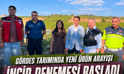 Gördes Tarımında Yeni Ürün Arayışı: İncir Denemesi Başladı