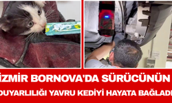 İzmir Bornova'da sürücünün duyarlılığı yavru kediyi hayata bağladı