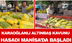 Karaoğlanlı Altınbaş Kavunu Hasadı Manisa’da Başladı