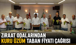 Manisa’da Hasat Başladı, Üreticinin Gözü Taban Fiyatında