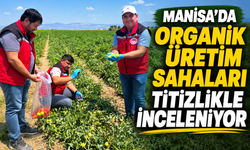 Manisa'da Organik Üretim Sahaları Titizlikle İnceleniyor