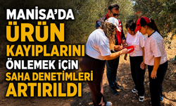 Manisa'da Ürün Kayıplarını Önlemek İçin Saha Denetimleri Artırıldı