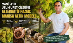 Manisa'da üzüm üreticilerine alternatif pazar