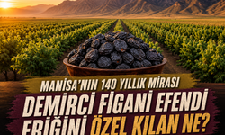 Manisa’nın 140 Yıllık Şifa Mirası Demirci Figani Efendi Eriği