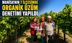 Manisa’nın 7 İlçesinde Organik Üzüm Denetimi Yapıldı