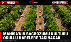 Manisa’nın Bağbozumu Kültürü Ödüllü Karelere Taşınacak
