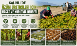 Salihli'de üzüm üreticileri için hasat ve kurutma rehberi duyuruldu