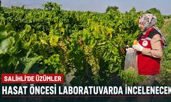 Salihli’de Üzümler Hasat Öncesi Laboratuvarda İncelenecek