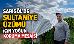 Sarıgöl'de Sultaniye Üzümü İçin Yoğun Koruma Mesaisi