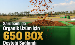 Saruhanlı’da Organik Üzüm İçin 650 Box Desteği Sağlandı