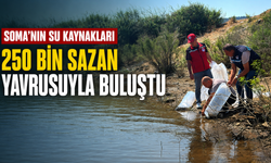 Soma’nın Su Kaynakları 250 Bin Sazan Yavrusuyla Buluştu